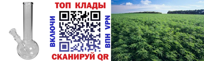 Купить Павловск ГАШ  АМФ  Alpha-PVP  МАРИХУАНА  Мефедрон  Галлюциногенные грибы  COCAIN 