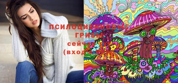 герыч Сосновка