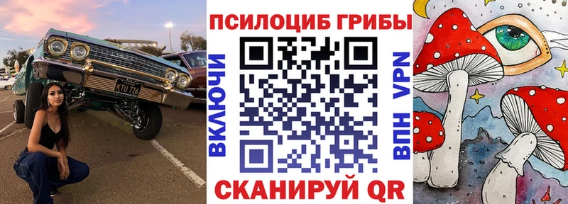 Галлюциногенные грибы прущие грибы  купить закладку  Павловск 
