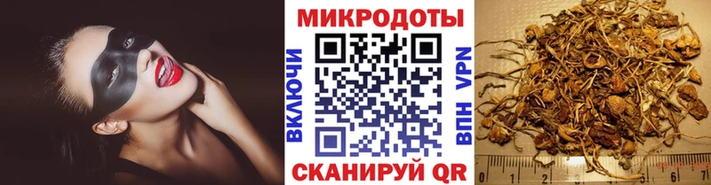 Галлюциногенные грибы GOLDEN TEACHER Павловск